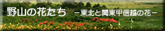 野山の花たち　バナーアイコン